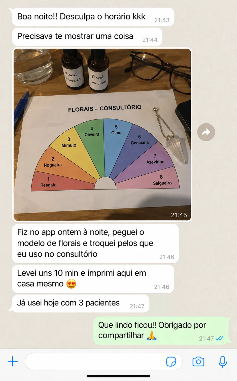 WhatsApp screenshot: a user shows a flower essence chart built in the app and printed at home